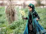 همه در بهار می رویند اما تو در زمستان