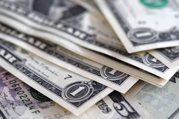 تأخیر در ترخیص نهادهها فشار مضاعفی بر تولیدکنندگان وارد کرد/ همزمانی واردات گوشت و مشکلات ارزی نهادهها