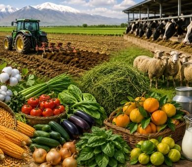 رشد قیمت محصولات کشاورزی و دامی در زمستان ۱۴۰۴