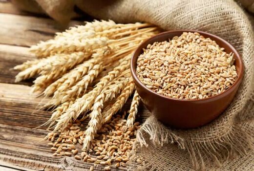 واردات گندم ۴۶ درصد کاهش یافت