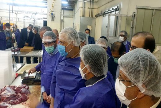 حمایت از شرکت های دانش بنیان در بخش کشاورزی در اولویت است 