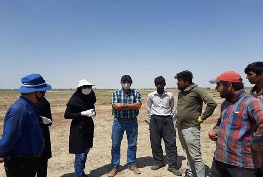 با اجرای طرح یاوران تولید دانش فنی و آخرین یافتهای تحقیقاتی به مزارع بناب انتقال می یابد