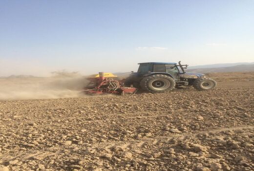 کاشت گندم و جو در قیروکارزین آغاز شد
