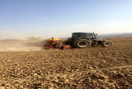 کاشت گندم و جو در قیروکارزین آغاز شد
