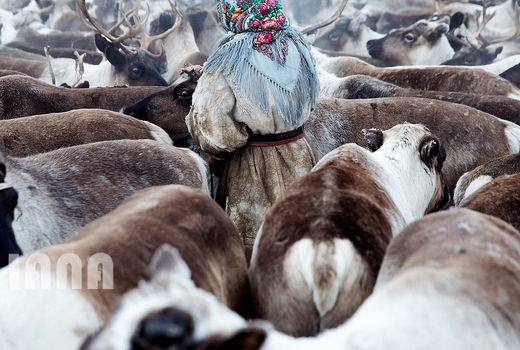 زندگی در سیبری