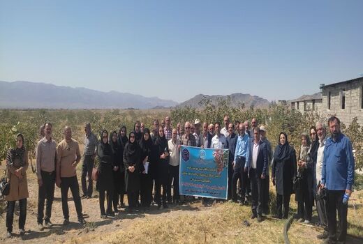بازدید کارشناسان و باغداران آذربایجان غربی  از باغات پسته یامچی مرند در راستای ترویج کشاورزی پایدار