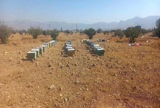 تولید 31 تن عسل در نی‌ریز