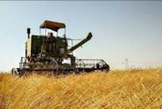 برداشت گندم و جو در چرداول به پایان رسید