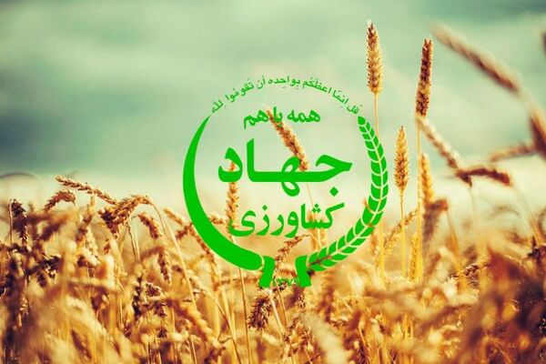 برگزاری کارگاه آموزشی کشت مکانیزه غلات با استفاده از دستگاه های کشاورزی حفاظتی