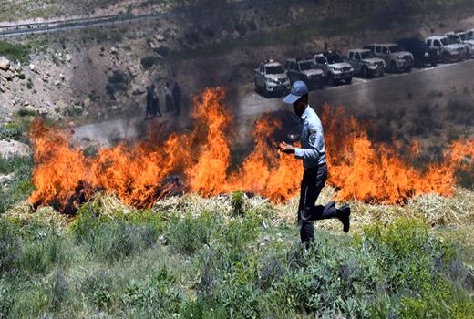 خطای انسانی ۵ هکتار از مراتع استان اصفهان را به آتش کشید