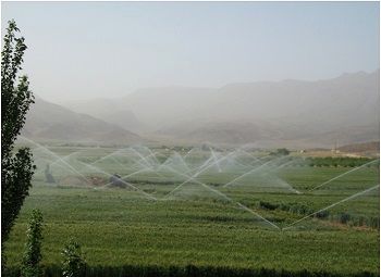 اجرای بیش از 330 هزار هکتار سامانه نوین آبیاری در فارس 