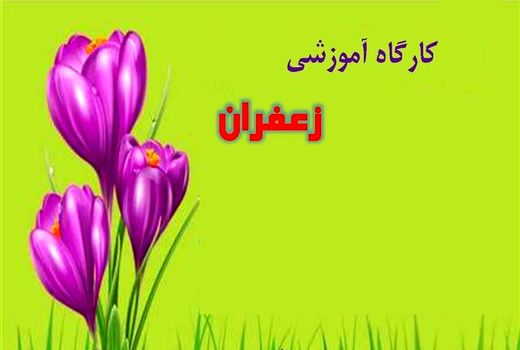 ارائه برنامه‌های آموزشی برای افزایش سطح عملکرد زعفران‌کاران