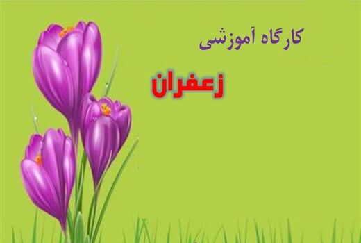 ارائه برنامه‌های آموزشی برای افزایش سطح عملکرد زعفران‌کاران