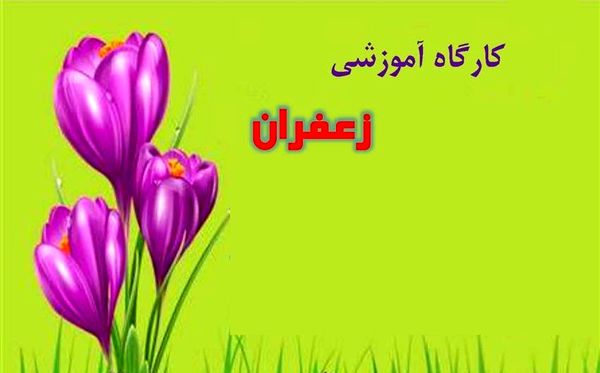 ارائه برنامههای آموزشی برای افزایش سطح عملکرد زعفرانکاران