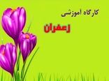 ارائه برنامه‌های آموزشی برای افزایش سطح عملکرد زعفران‌کاران