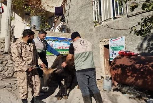 برگزاری  رزمایش جهادی دامپزشکی در شهرستان هوراند