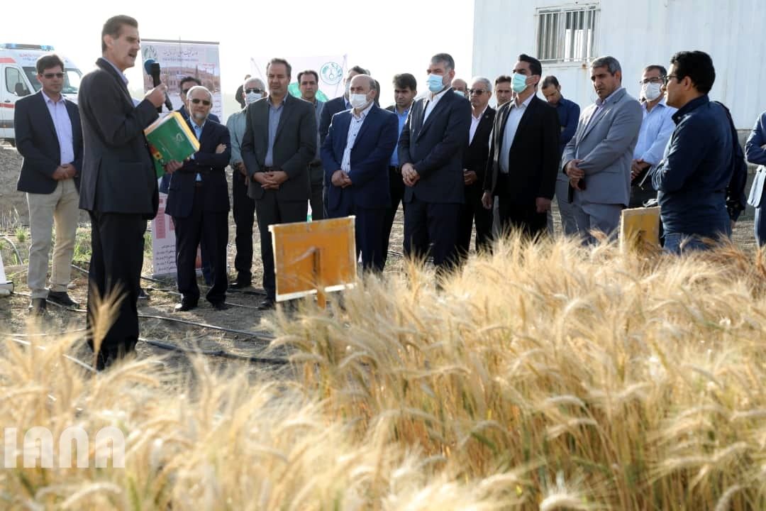 WhatsApp Image 2022-06-14 at 10.06.27 AM