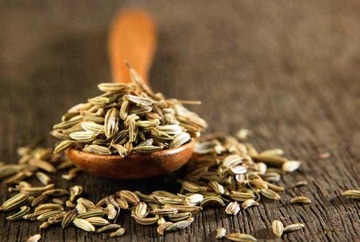 طرح ملی مکانیزه ریزکاشت گیاهان دارویی اجرا شد