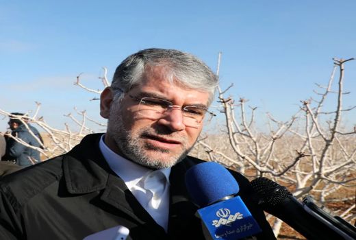 ایجاد کمیته‌ای برای مدیریت سرمازدگی و استقرار آن در استان یزد 