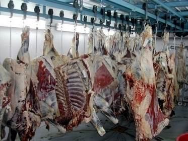 تولید 330 میلیاردی گوشت قرمز در نور