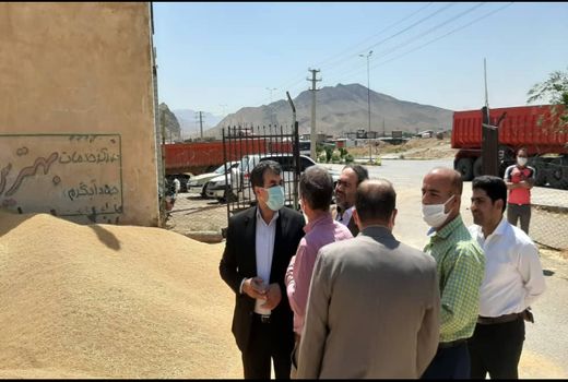4 مرکز خرید ؛ گندم کشاورزان شهرستان آوج را خریداری می کنند 