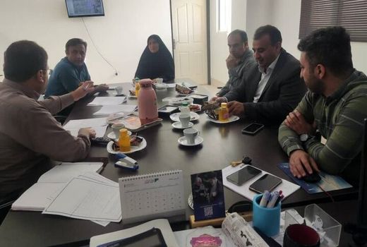 سه پلاک در کارگروه رفع تداخلات تنگستان بررسی شد