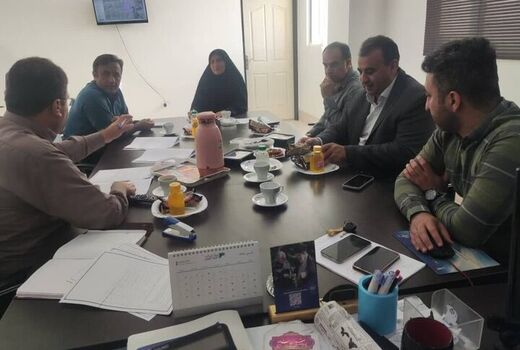 سه پلاک در کارگروه رفع تداخلات تنگستان بررسی شد