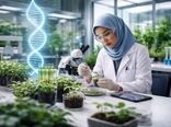 اصلاح مولکولی؛ راهبرد نوین برای افزایش دقت و سرعت در به‌نژادی محصولات باغی