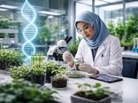اصلاح مولکولی؛ راهبرد نوین برای افزایش دقت و سرعت در به‌نژادی محصولات باغی