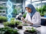 اصلاح مولکولی؛ راهبرد نوین برای افزایش دقت و سرعت در به‌نژادی محصولات باغی