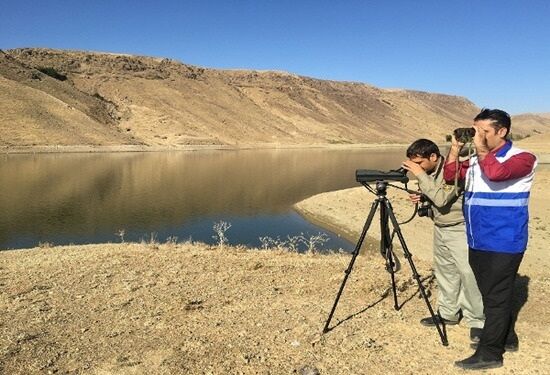پایش مستمر زیستگاه های پرندگان در آذربایجان‌غربی