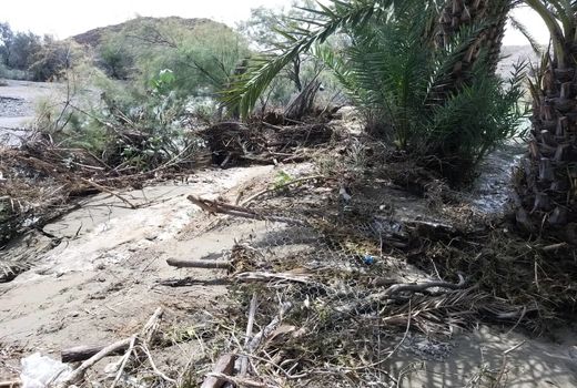 سیل فروردین ماه 1358 میلیارد تومان به بخش کشاورزی خسارت وارد کرد