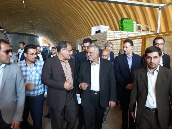 مدت زمان پرداخت بهای گندم کم می‌شود