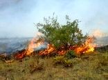 کاهش ۹۰ درصدی حریق منابع طبیعی خراسان شمالی 