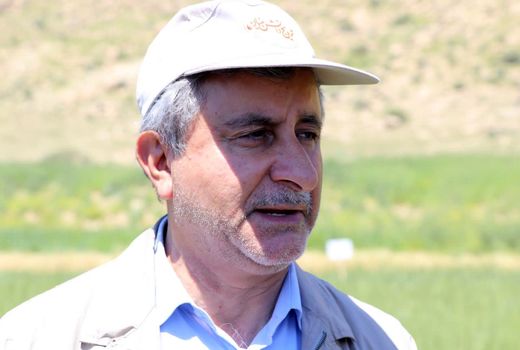 تنها مصرف بهینه کود ها منجر به افزایش عملکرد مزارع می شود