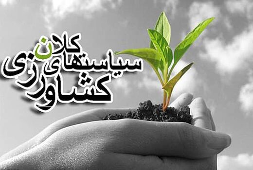 ضرورت بازنگری در سیاست‌های کلان کشاورزی/ از ظرفیت علمی استان‌ها استفاده شود 