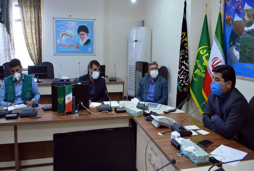 سیاست های وزارت جهادکشاورزی برای افزایش تولید دانه های روغنی از طریق کاشت کلزا