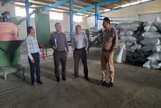 بازیافت پسماند پلاستیکی بخش کشاورزی در بوشهر 