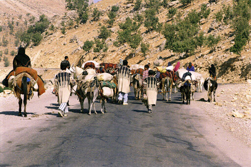  11 طرح عشایری شهرستان در شهرستان  کوهرنگ اجرا می شود 
