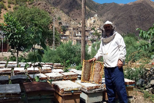 برداشت بیش از 2 هزار تن عسل در شهرستان خداآفرین