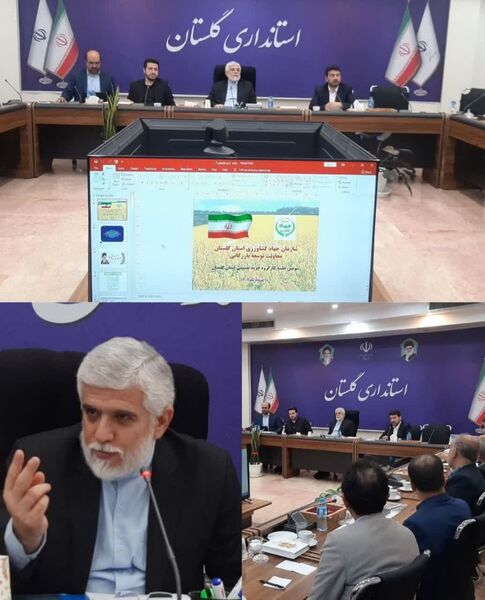 خرید ۵۰ درصد محصولات کشاورزی توسط بخش خصوصی در گلستان 