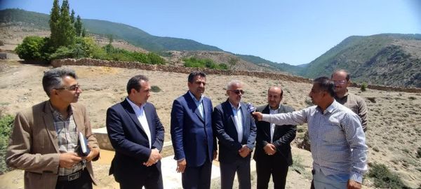 تولید ۲۵۰ میلیون اصله نهال، دستاورد سازمان منابع طبیعی کشور