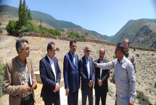 تولید ۲۵۰ میلیون اصله نهال، دستاورد سازمان منابع طبیعی کشور