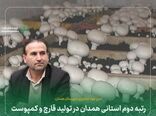 رتبه دوم استانی همدان در تولید قارچ و کمپوست 