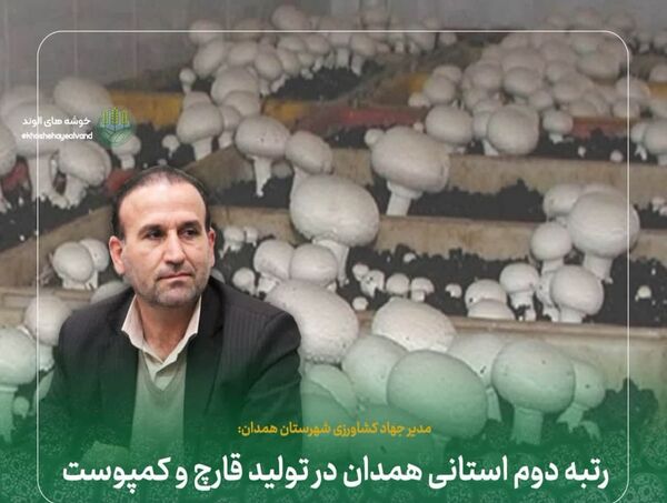 رتبه دوم استانی همدان در تولید قارچ و کمپوست 