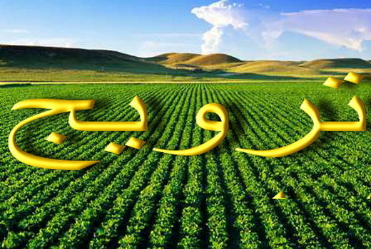 فارس، رتبه نخست آموزش ترویج کشاورزی در کشور 