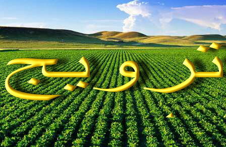 فارس، رتبه نخست آموزش ترویج کشاورزی در کشور 