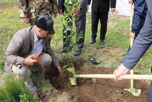 نظارت بر اجرای طرح کاشت یک میلیارد درخت به مردم واگذارشده است
