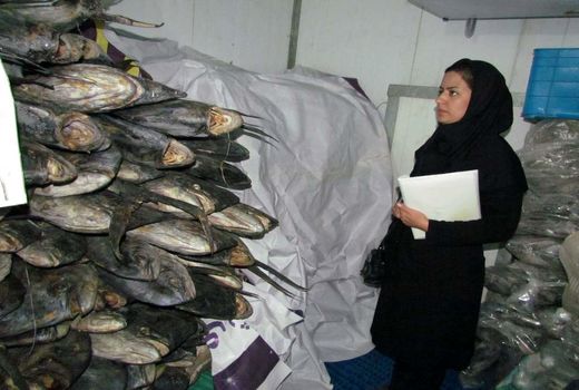 طرح تشدید کنترل و نظارت بهداشتی دامپزشکی ویژه ماه مبارک رمضان در استان به اجرا در آمد