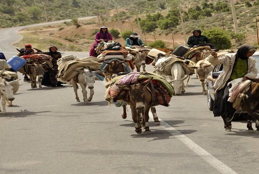 عشایر ایلام تاکنون ۳۵ هزار دوز واکسن دریافت کرده اند